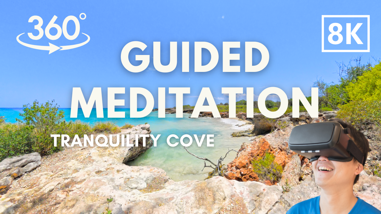 VR Meditation Scene 1
